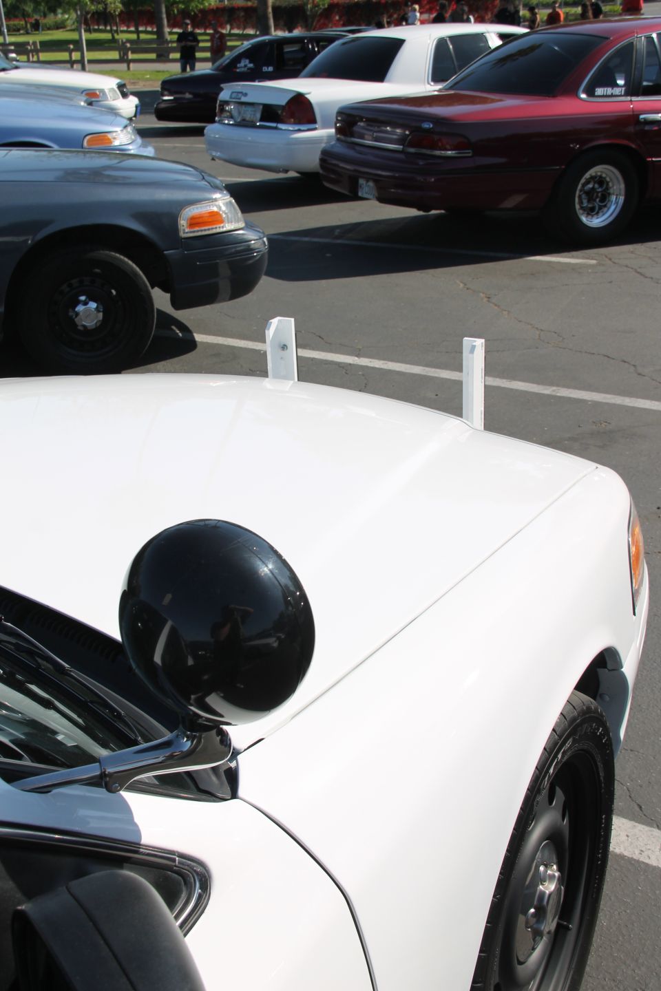 White police car hood with a spotlight, parked behind other Crown Victorias