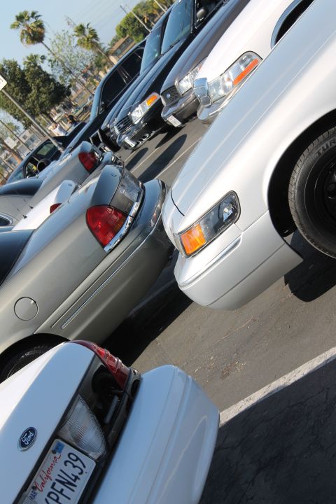 1992 Ford Crown Victoria - Multiple Ford Crown Victorias are parked in a lot, with one in the foreground showing its front quarter panel.