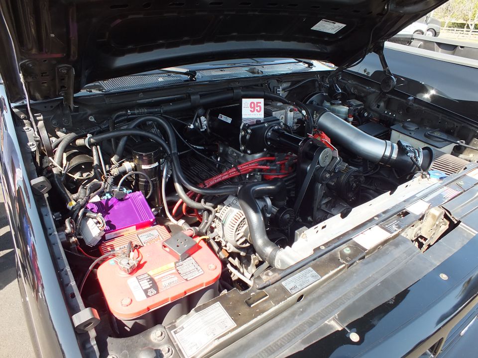 Close-up of a V8 engine bay with red battery cover, purple coil and a 95 placard