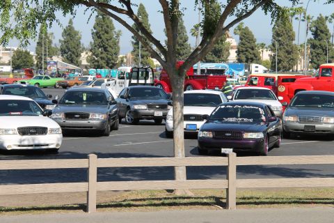 1992 Ford Crown Victoria - Several Ford Crown Victorias are parked in a lot, with one modified with custom decals.