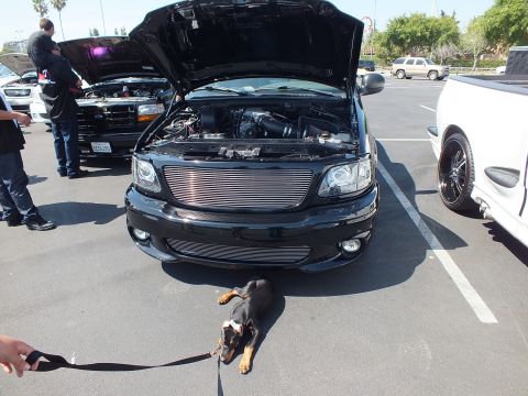 2003 Ford Crown Victoria - black Ford pickup with a chrome billet grille and open hood at a show, with a small dog on a leash lying in front of it.