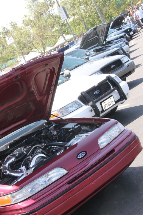 1992 Ford Crown Victoria - A line of Ford Crown Victoria police cruisers is parked behind a red 1992 Ford Crown Victoria with its hood open, revealing a turbo-charged…