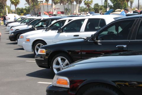 1992 Ford Crown Victoria - A line of Ford Crown Victorias are parked at an outdoor event.