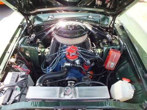 2003 Ford Crown Victoria - detailed V8 engine with a chrome air cleaner, blue block, red distributor, and aluminum radiator panel fitted in a green car's bay.