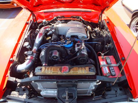 2003 Ford Crown Victoria - engine bay of a red car showing a fuel-injected V8 with a tubular intake manifold, blue spark-plug wires, and a battery at right.