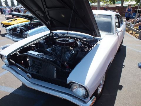 2003 Ford Crown Victoria - white compact car displays its raised hood and engine bay at a sunny outdoor car show, with other cars in the background.