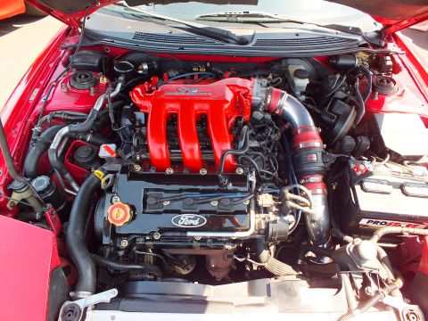 2003 Ford Crown Victoria - Detailed engine bay of a red car featuring a red-finished valve cover marked Ford with polished intake piping.