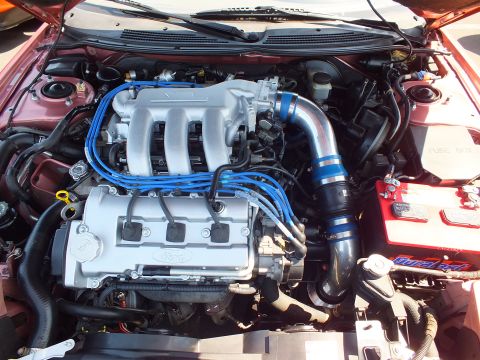 2003 Ford Crown Victoria - Engine bay showing a silver intake manifold over a Ford valve cover with blue spark plug wires and polished piping.