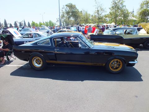 2003 Ford Crown Victoria - black classic Mustang fastback with gold GT350H Hertz stripes and gold wheels is shown in side profile at a show.