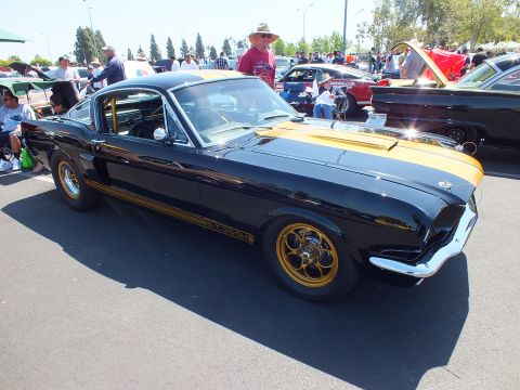 2003 Ford Crown Victoria - black classic Mustang fastback with gold GT350H stripes and gold wheels sits front-three-quarter at a car show.