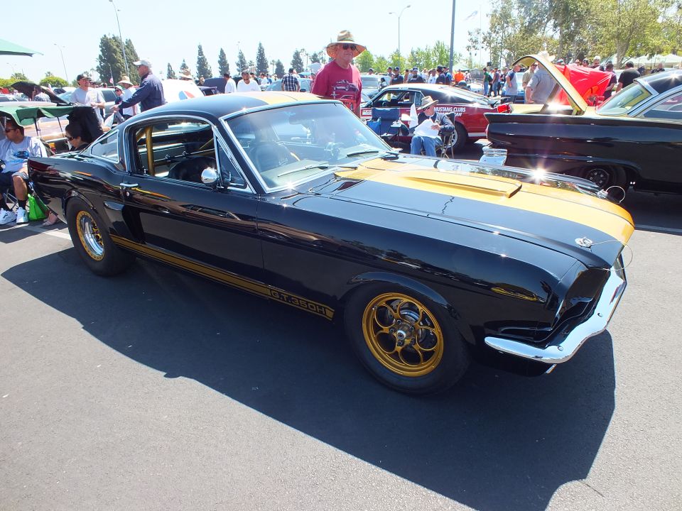 Black classic Mustang fastback with gold GT350H stripes front-three-quarter at a show