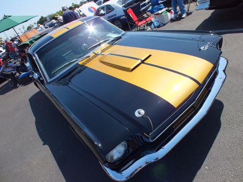 2003 Ford Crown Victoria - high front view of a black classic Mustang shows gold dual racing stripes, a hood scoop and chrome bumper.