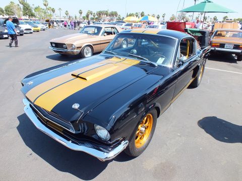 2003 Ford Crown Victoria - black classic Mustang fastback with gold racing stripes and gold wheels sits front-three-quarter among show cars.