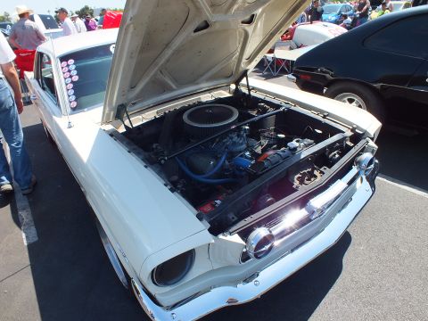 2003 Ford Crown Victoria - white vintage coupe sits with hood up, exposing a chrome air cleaner and engine, among other show cars in a sunny lot.