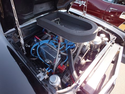 2003 Ford Crown Victoria - close-up of a built engine shows an oval foam-edged air box, blue plug wires and blue-anodized braided line fittings.