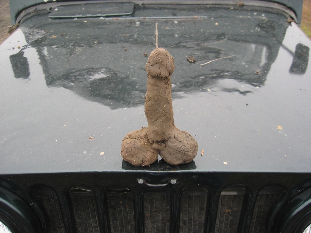 Mud sculpture on the black hood of a vehicle above a slotted grille
