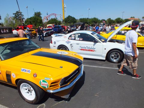 Yellow Mustang race car beside white Mustang with Twisted Modular Racing graphics