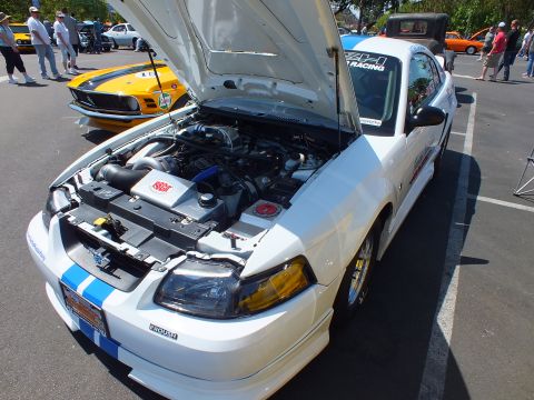 White Ford Mustang with blue stripes and open hood showing engine, front quarter view