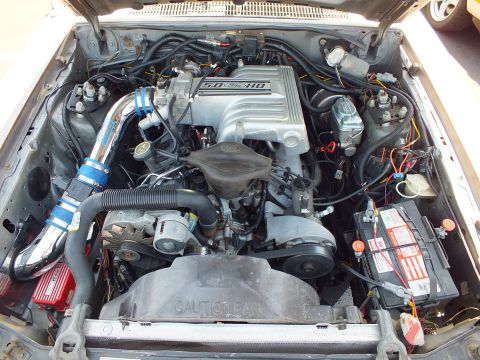 Ford 5.0 HO V8 engine bay with blue intake tubing and battery
