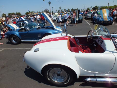 White red-striped and blue Cobra-style roadsters lined up at a crowded outdoor car show