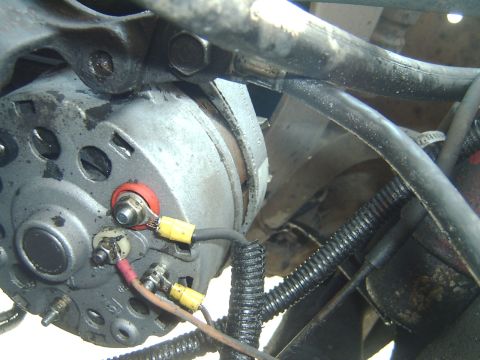 1982 Ford Bronco - back of my alt