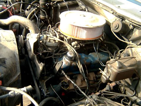 1982 Ford Bronco - Engine bay of a 1982 Ford Bronco, a blue engine block with Ford branding.
