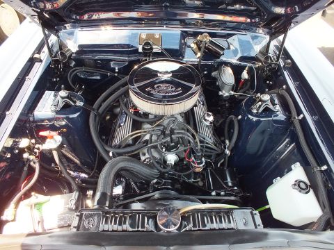 Detailed V8 engine with chrome air cleaner and Ford valve covers under hood