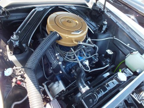 Engine bay close-up showing a gold air cleaner on a V8 with Ford branding