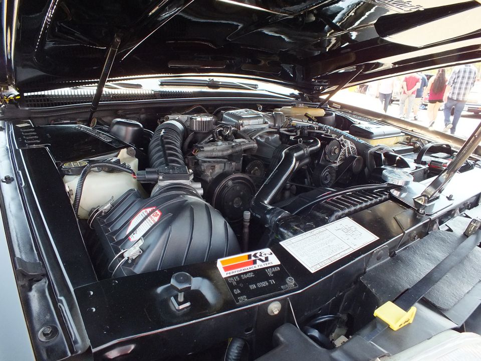 Close-up of a clean engine bay under a raised black hood