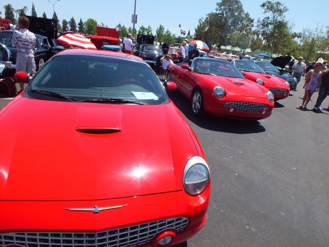 Row of red Ford Thunderbird convertibles lined up at a car show