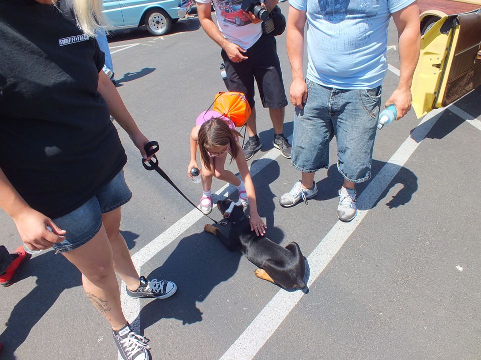 Child petting a black dachshund on a leash in a parking lot among adults