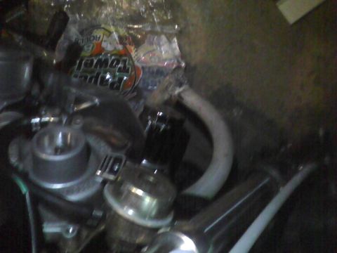 2003 Ford Crown Victoria - Close-up view of various engine components, with a roll of paper towels visible in the background.