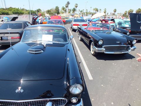 Two classic Ford Thunderbirds, black hardtop and black convertible, at show