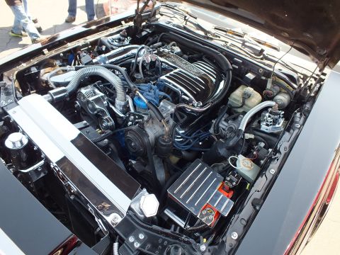 V8 engine bay with chrome valve cover and blue spark plug wires in a coupe