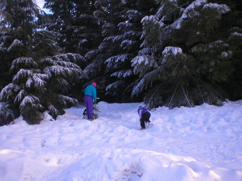 1978 Ford Bronco - People cutting Christmas trees in a snowy forest.
