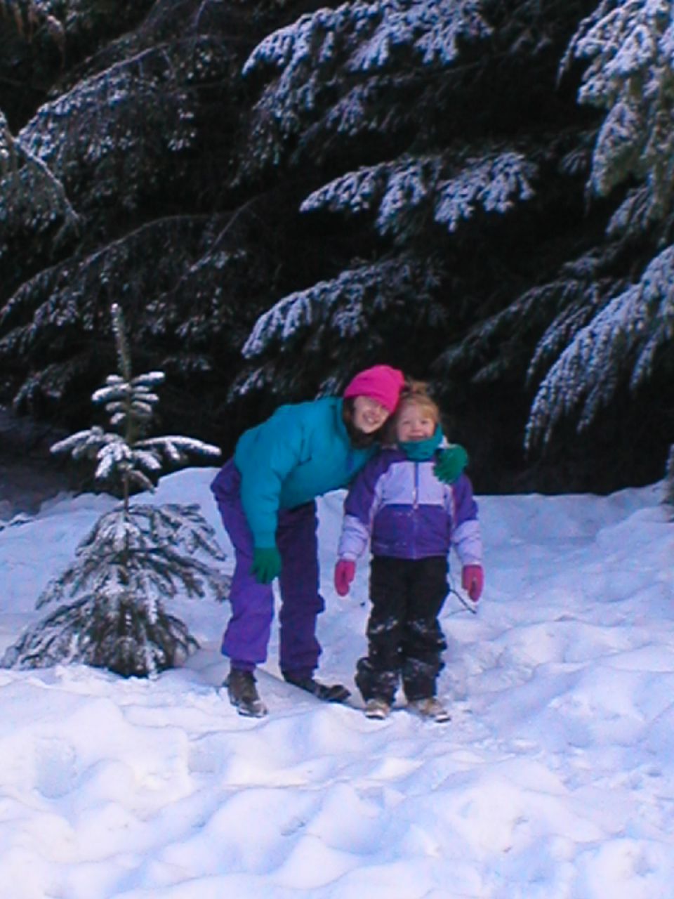 Two children in snow-covered woods, one wearing a pink hat and teal jacket, the other a purple jacket