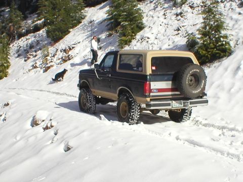 1978 Ford Bronco - This 1978 Ford Bronco is parked on a snowy mountain road, with a person and dog visible in the background.