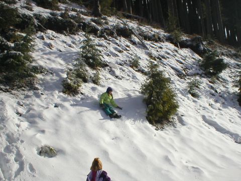 1978 Ford Bronco - Two people enjoy a winter day sledding down a snow-covered hill in a wooded area.