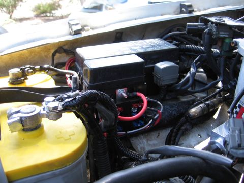 1993 Toyota 4Runner “Party Wagon”