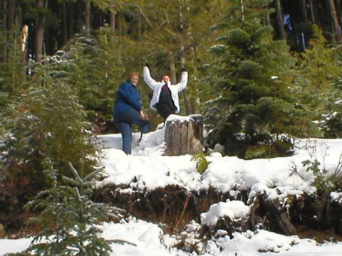 1978 Ford Bronco - A snowy forest scene with two people enjoying the winter weather.
