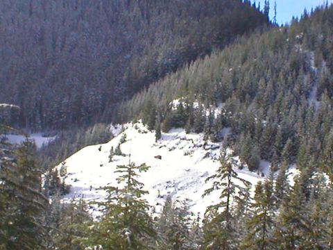 1978 Ford Bronco - A lone vehicle is visible on a snow-covered mountainside, surrounded by dense evergreen trees.
