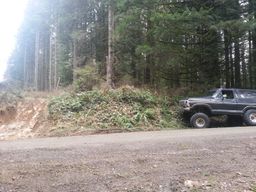 1979 Ford Bronco - Ford Bronco parked on a dirt road with a wooded area behind it.