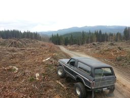 1979 Ford Bronco - A 1979 Ford Bronco navigates a dirt road through a logged area with mountains in the background.