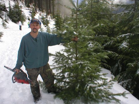1978 Ford Bronco - A man poses with a chainsaw in a snowy forest, surrounded by evergreen trees.