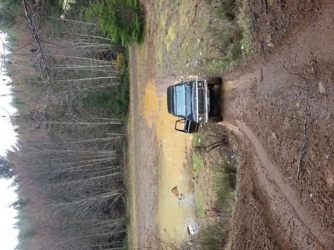 1979 Ford Bronco - A dark blue 1978 Ford Bronco navigates a muddy trail in a wooded area.