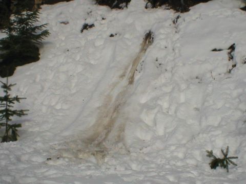 1978 Ford Bronco - Tire tracks mark a path down a snow-covered slope, suggesting recent vehicle activity.