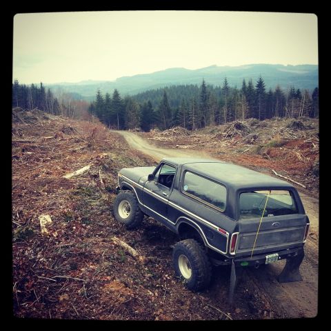 1979 Ford Bronco - A black 1979 Ford Bronco navigates a dirt road through a logged forest area.