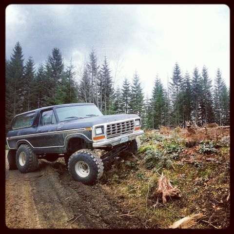 1979 Ford Bronco - Ford Bronco navigates a rough, wooded terrain with a cloudy sky overhead.