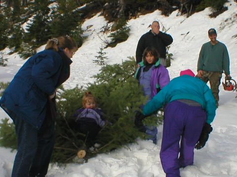 1978 Ford Bronco - A group of people are seen carrying a large Christmas tree through a snowy, wooded landscape.