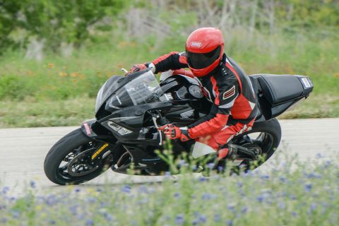 2001 Kawasaki KZ1000-A1 - A rider in a red and black racing suit navigates a turn on a black sportbike, with a field of blue flowers in the foreground.